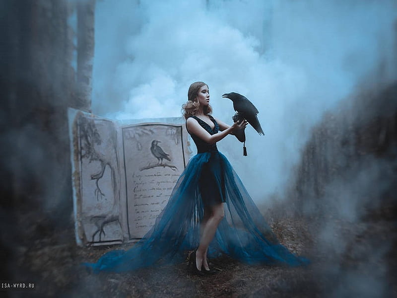 Beauty and the Raven, women, forest, raven, tree, bird, magical, book, fog, HD wallpaper