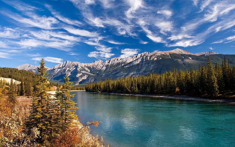 river, mountains, summer, USA, forest, mountain landscape, HD wallpaper
