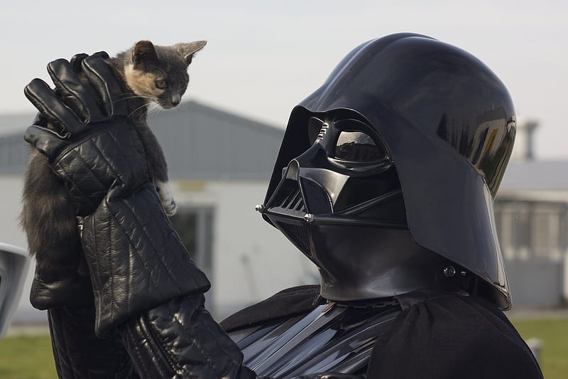 Darth Vader & Cat, Star Wars, Darth Vader, Movies, Cat, HD wallpaper