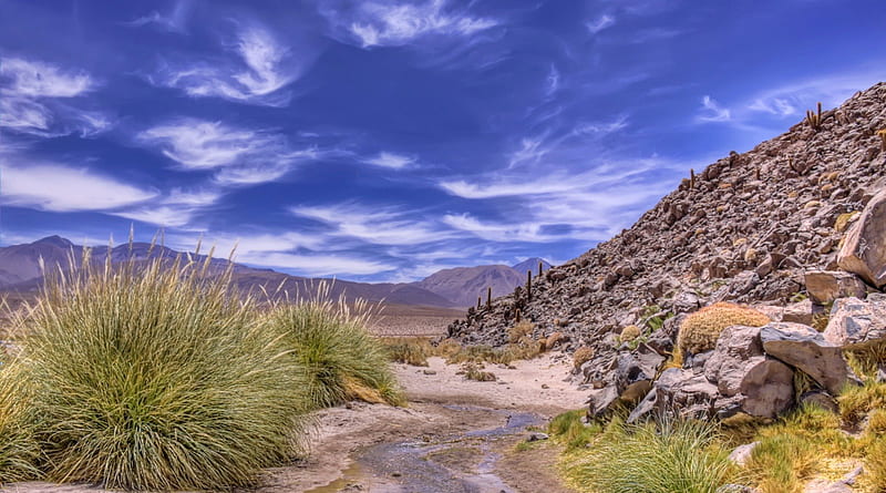arid stream in a beautiful desert, hills, stream, desert, dry, clouds, bushes, HD wallpaper