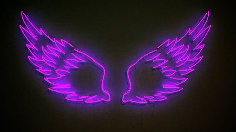 Purple Aesthetic Neon Lights Wings Black Background Hd Wallpaper Peakpx - Light Purple Aesthetic Wallpaper Iphone 11 Pro Max