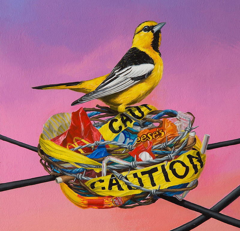 Refuge, pink, bird, art, painting, yellow, pictura, jon ching, HD wallpaper