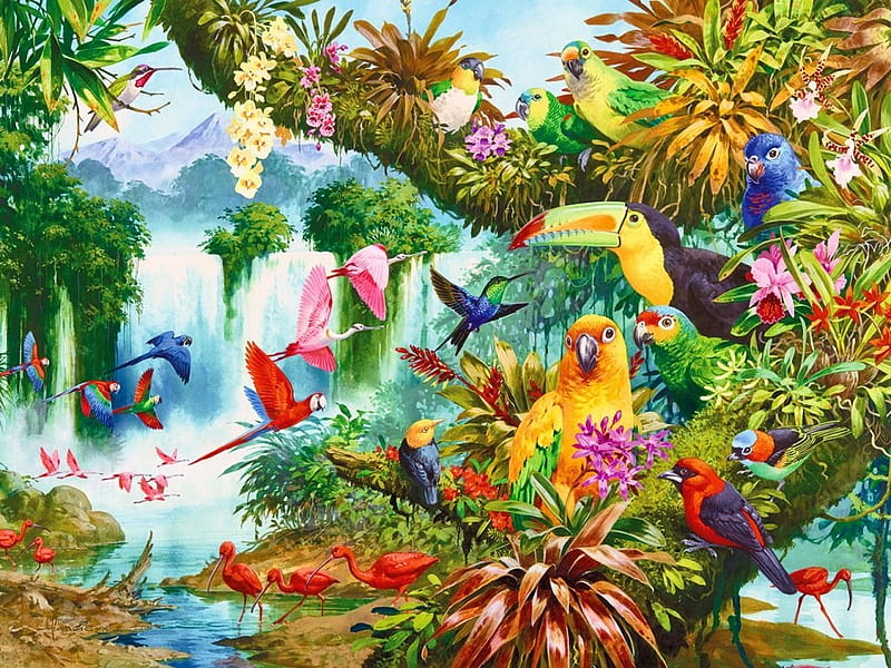 Exotic birds, colorful, art, exotic, bird, papagali, jungle, pasari, parrot, HD wallpaper