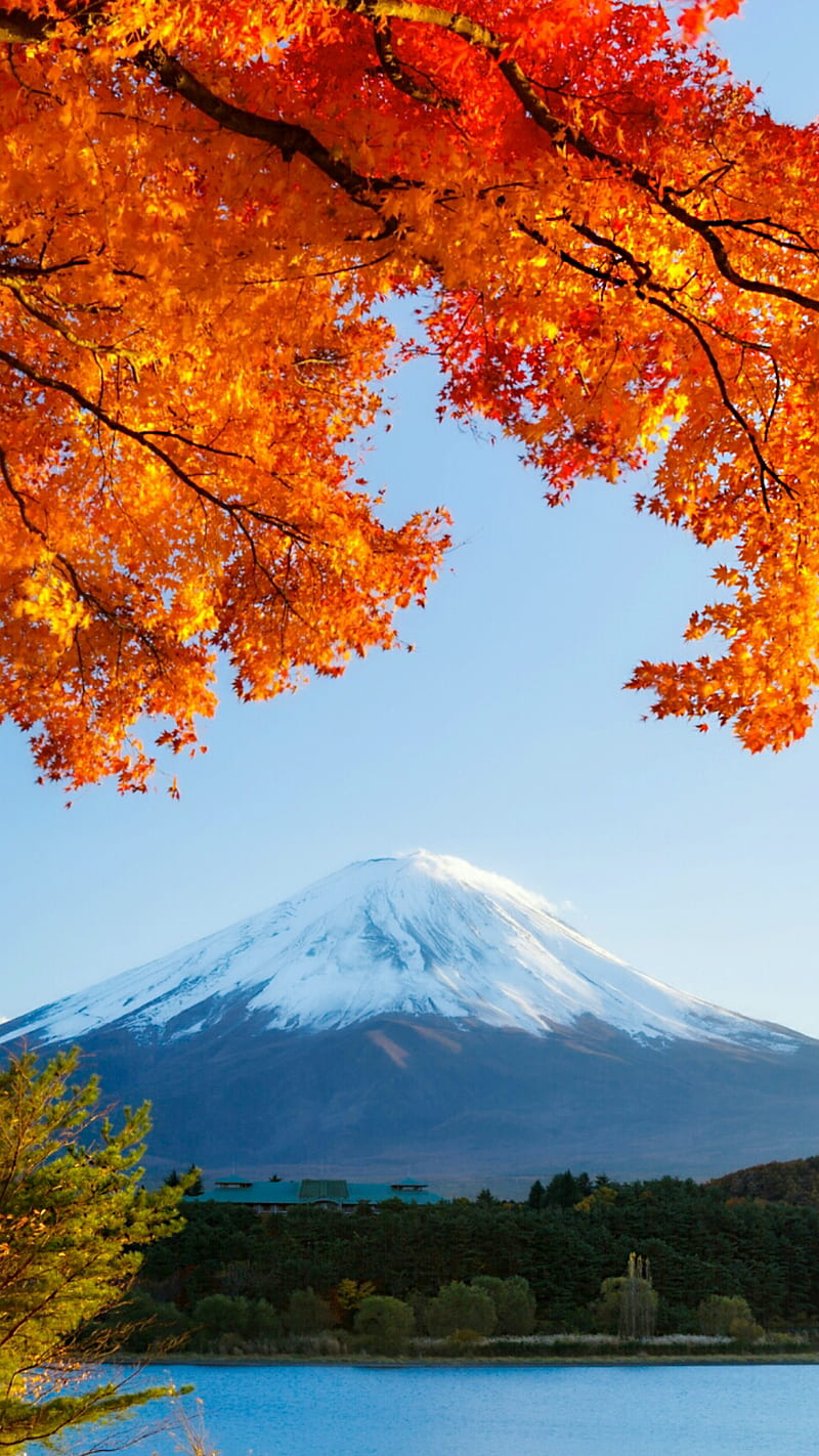 Free download Picture of Mount Fuji in Japan with added colour wallpaper  1920x1080 for your Desktop Mobile  Tablet  Explore 48 Wallpaper Fuji   Mt Fuji Wallpaper Mount Fuji Wallpapers Fuji Winter Wallpapers