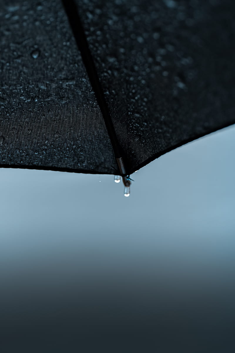 umbrella, drops, wet, rain, HD phone wallpaper