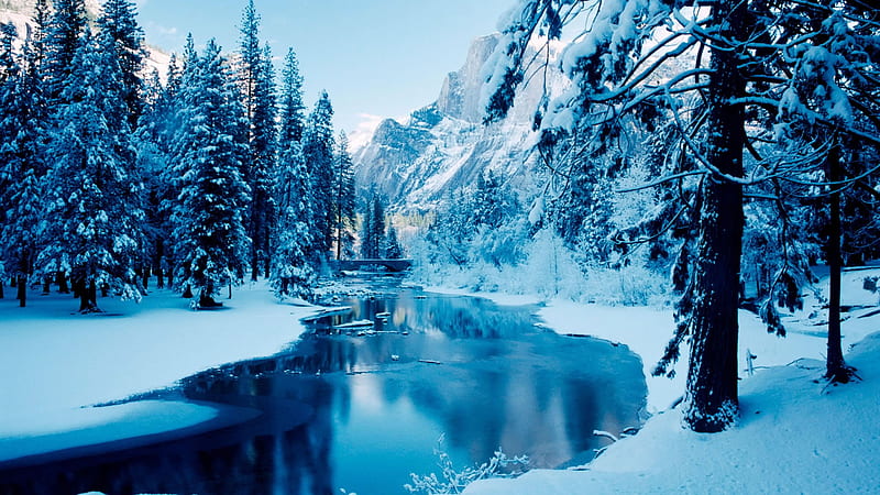 Blue Winter, forest, bonito, trees, winter, mountain, water, snow, ice, nature, river, white, blue, HD wallpaper