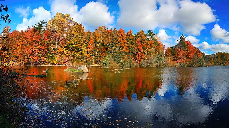 Autumn at a lake in Ontario, fall, colors, clouds, sky, leave, water, reflections, tree, canada, HD wallpaper