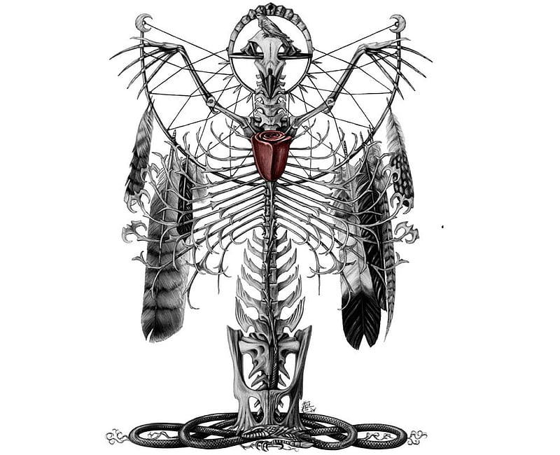 Medicine Totem, fantasy, shaman, abstract, bones, skull, artwork, feathers, HD wallpaper