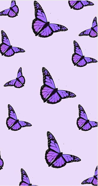 Asthetic butterflies, butterfly, purple, HD phone wallpaper | Peakpx