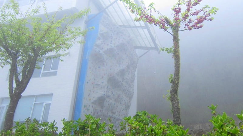 Climbing wall in the fog, mountain, climbing wall, in the fog, cherry tree, HD wallpaper