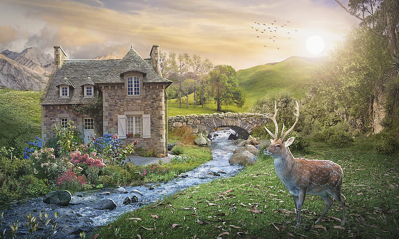 Peaceful place, house, luminos, caprioara, annewipf, deer, animal, fantasy, green, summer, HD wallpaper