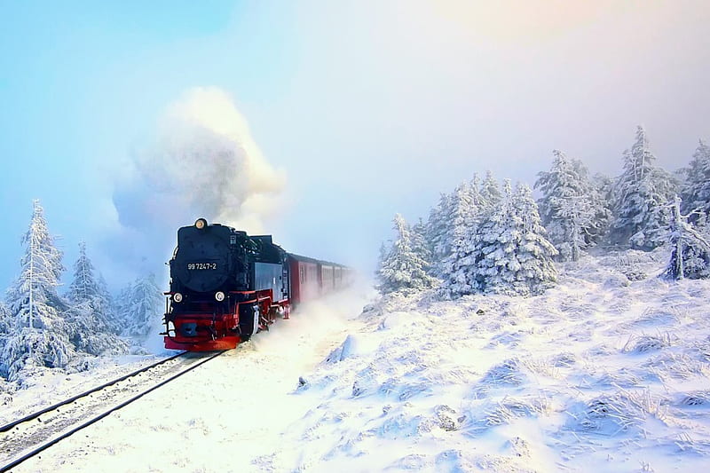 Winter, train, splendor, snow, nature, winter time, trees, landscape, HD wallpaper