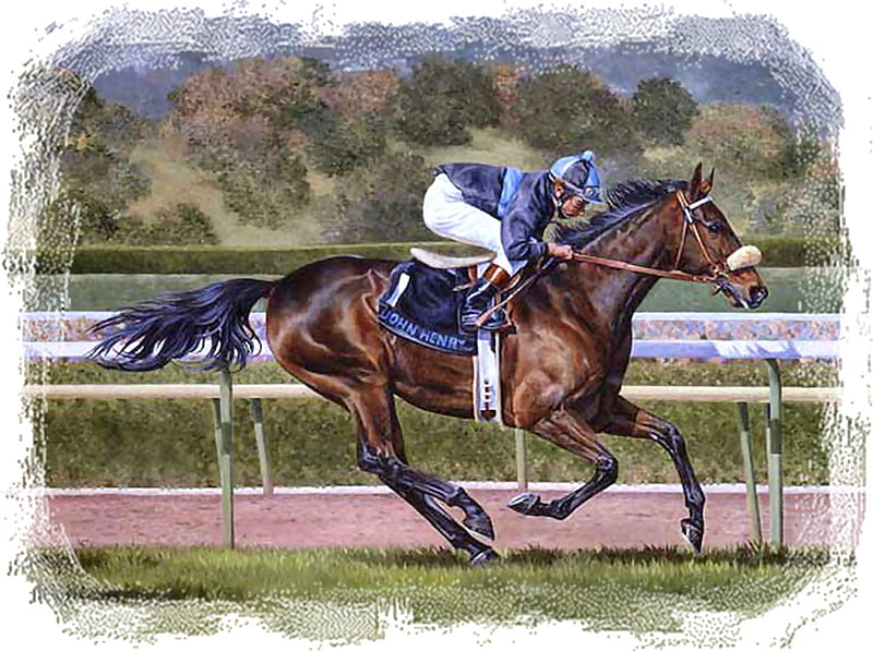 John Henry F, art, thoroughbred, John Henry, equine, bonito, horse, artwork, race horse, animal, painting, wide screen, thorobred, HD wallpaper