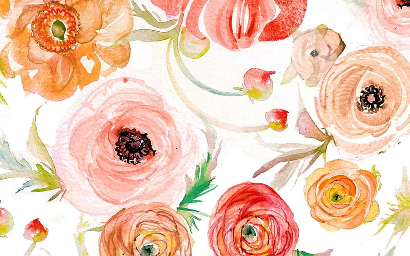 Texture, pattern, art, ranunculus, flower, paper, pink, watercolor, HD wallpaper