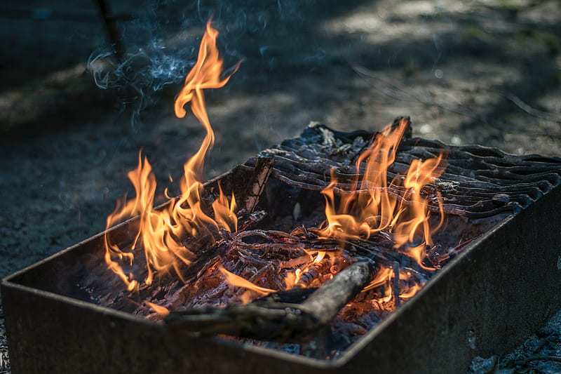 barbecue, flames, kebab setup, smoke, firewood, Nature, HD wallpaper