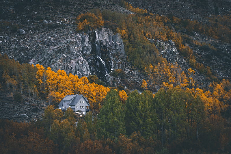 house, mountains, forest, rocks, trees, HD wallpaper