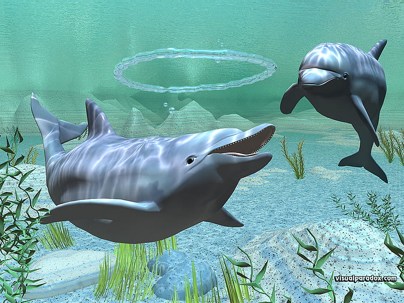 Two Dolphins, dolphin, 3d, water, ocean, sea, HD wallpaper | Peakpx
