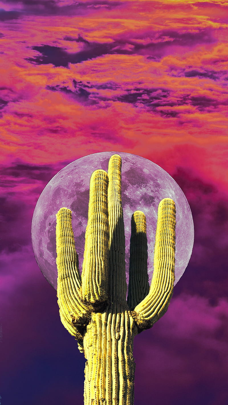 cactus vibes, cajuca, cajucart, colors, colorful, colors, cores, dope art, imagination, lua, moon, moon, psicodelia, psych, psicodelia, surrealism, surrealismo, trippy, HD phone wallpaper