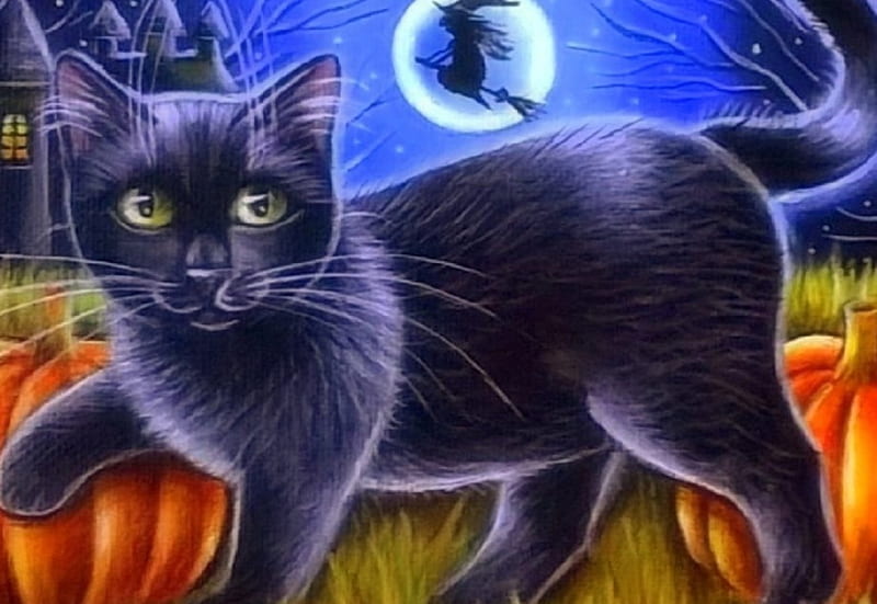 Ready for Halloween, moons, witch, fall season, autumn, holiday, halloween, love four seasons, paintings, black cat, cats, animals, pumpkins, HD wallpaper