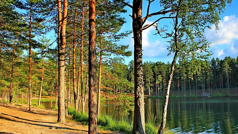 *** Silver Lake-Pskov ***, lakes, nature, trees, sky, silver, HD wallpaper