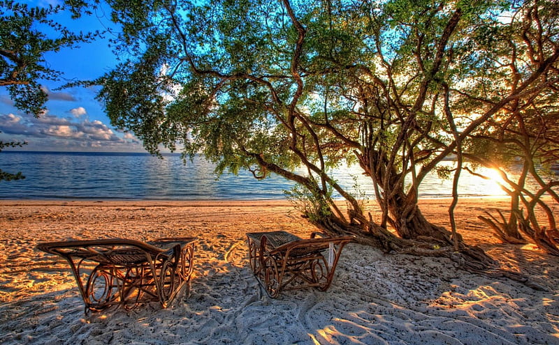 rattan chairs under a tree on a beach r, beach, tree, chairs, r, sunrise, sea, HD wallpaper