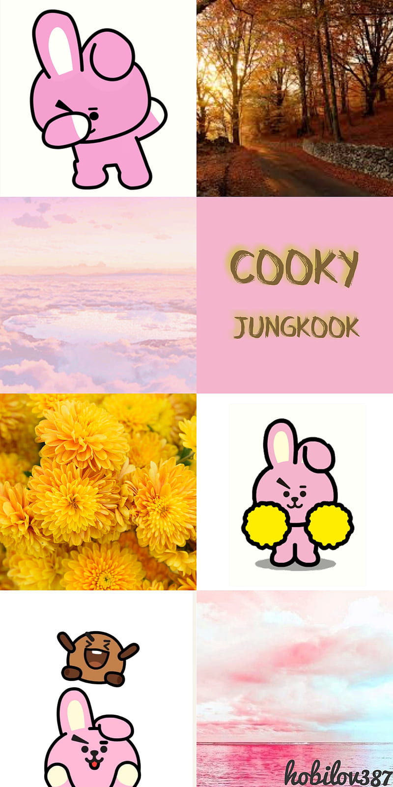 BTS BT21 Cooky, jungkook, kookie, shooky, pink, brown, yellow, HD mobile wallpaper