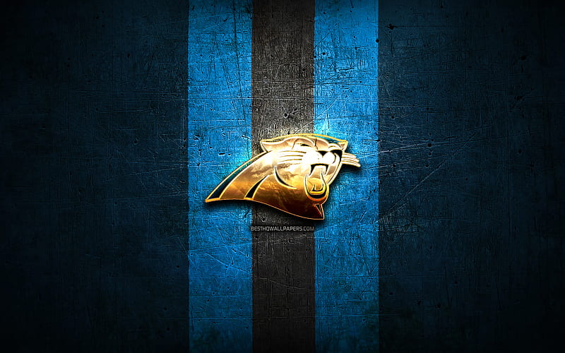 Carolina Panthers, golden logo, NFL, blue metal background, american football club, Carolina Panthers logo, american football, USA, HD wallpaper