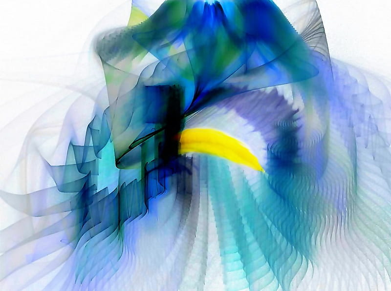 iris, yellow, transparent, abstract, blue, HD wallpaper