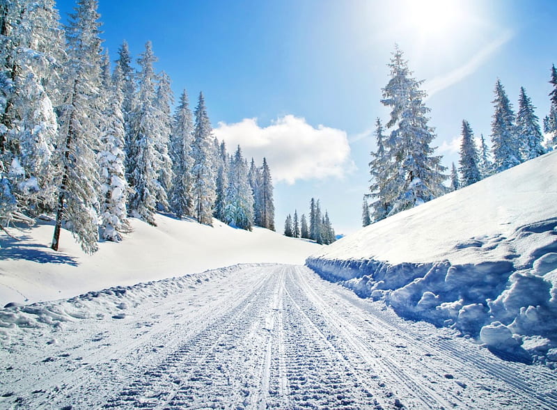 Winter road, pretty, sun, dazzling, shine, bonito, clouds, snowy, cold, nice, path, road, light, frost, forest, lovely, sunlight, sky, trees, winter, rays, icy, snow, ice, nature, frozen, field, HD wallpaper