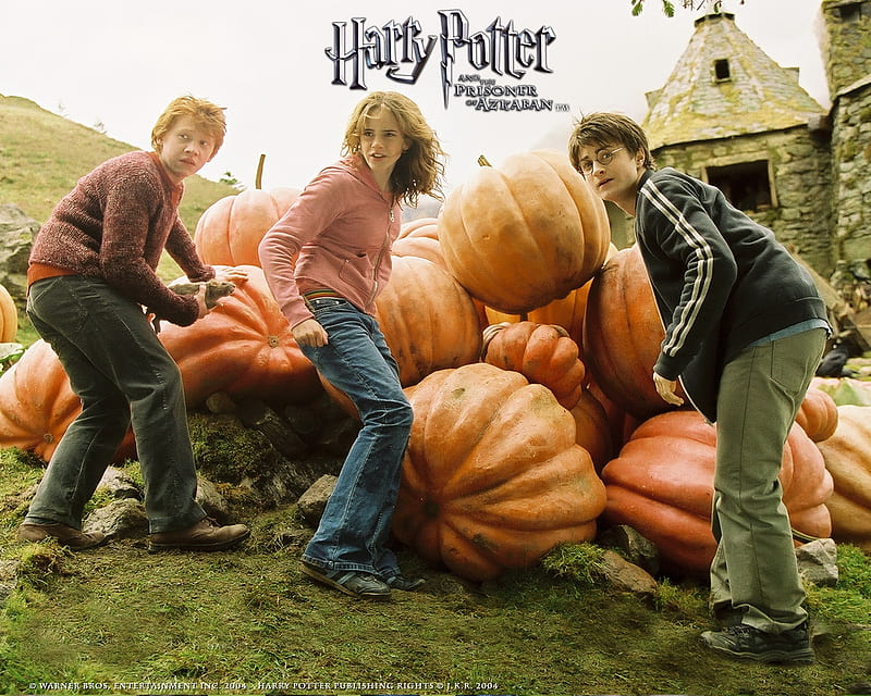 Harry Potter And The Prisoner Of Azkaban, The, Harry, Prisoner, Azkaban, And, Potter, Of, HD wallpaper