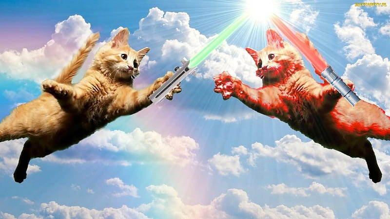 Cat Wars, fantasy, clouds, sky, cats, light sabers, HD wallpaper