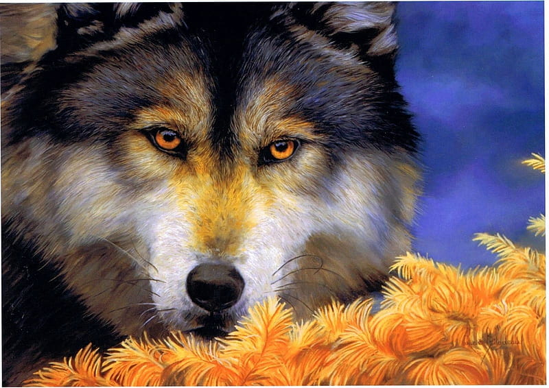 Wolf Portrait, predator, face, eyes, artwork, HD wallpaper