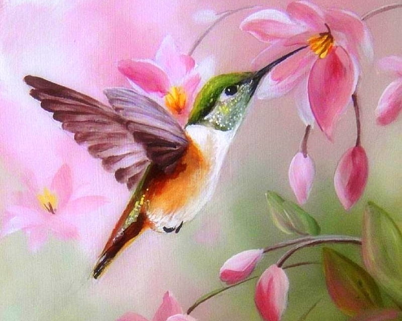 Softly Hummingbird, paintings, birds, flowers, love four seasons, spring, hummingbird, pink, animals, HD wallpaper