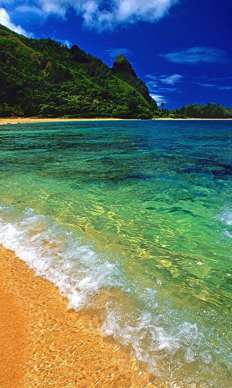 ocean, beach, landscape, sea, HD phone wallpaper