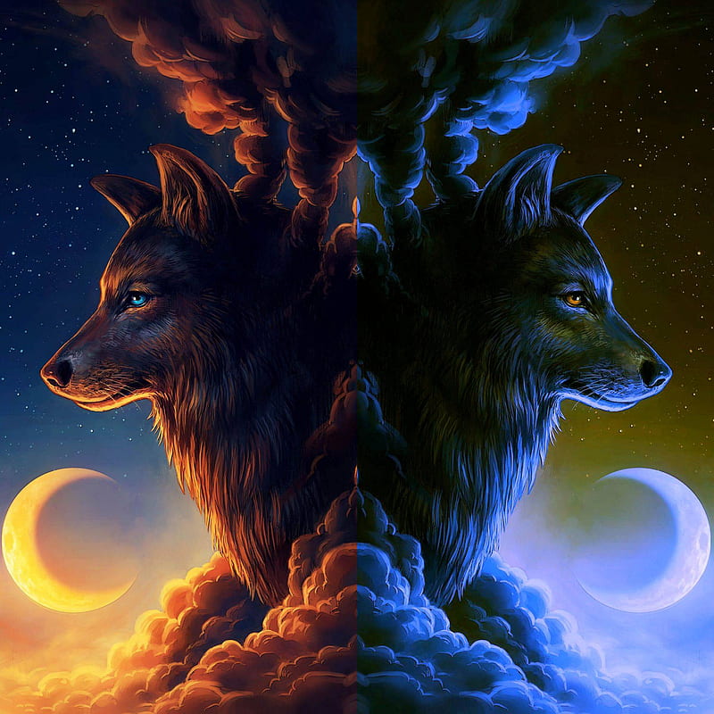 Wolf wall 8, wolf, cloud, moon, HD phone wallpaper