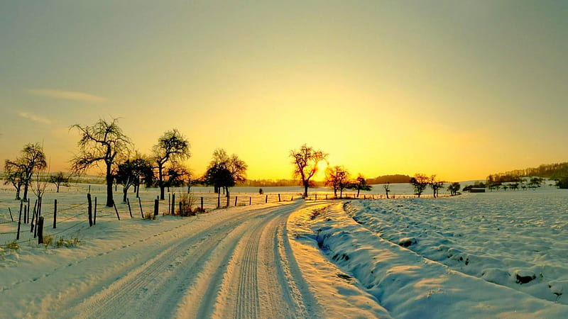 sunrise in the countryside at winter, countryside, sunrise, road, trees, winter, HD wallpaper