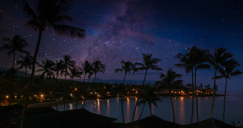palm trees, coast, night, HD wallpaper
