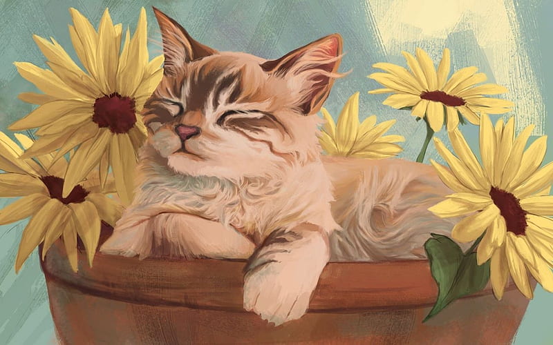 Cat Bouquet, art, bouquet, drawing, painting, adorable, flower pot, cat, sweet, flowers, HD wallpaper