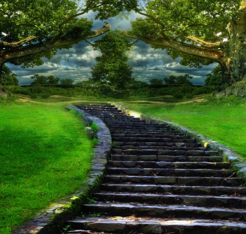 ✫Stone Steps in a Park✫, grass, premade BG, attractions in dreams, bonito,  clouds, HD wallpaper | Peakpx