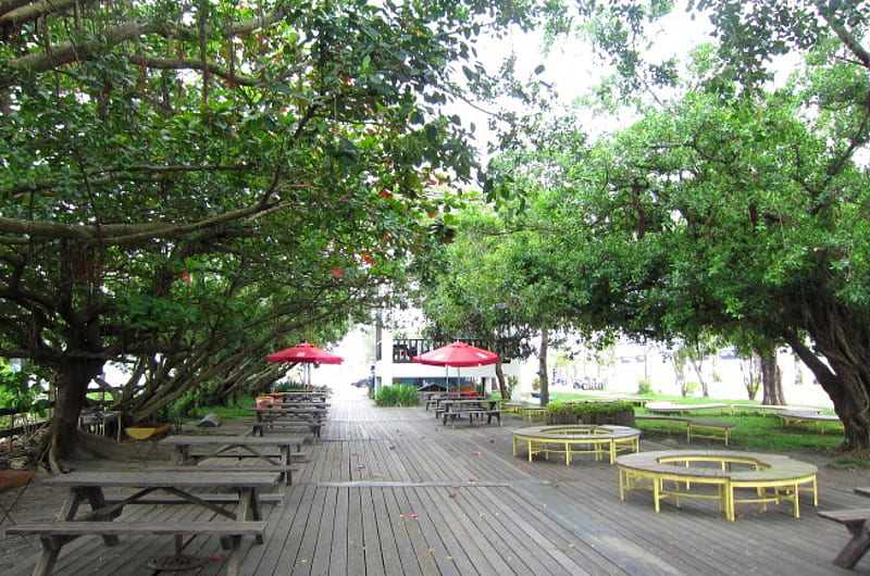 Beach coffee shop, beach umbrella, beach, coffee shop, trees, wooden tables and chairs, HD wallpaper