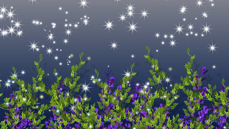 Wild Night Blooms, stars, purple, flowers, firefox persona, lavender, sky, sparkles, HD wallpaper