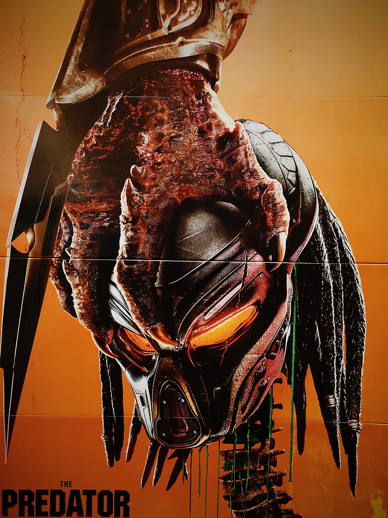 The Predator, alien, extraterrestrial, movie, new, yautja, HD phone wallpaper
