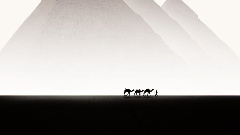 Lonesome , camel, artist, artwork, digital-art, HD wallpaper