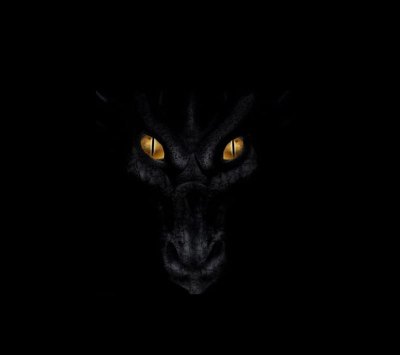 Black Dragon, eyes, HD wallpaper
