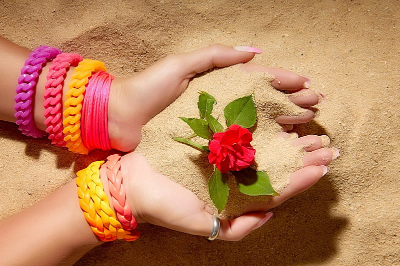 Rose in the Sand, sand, rose, flower, colorful bracelets, hand, women, HD wallpaper