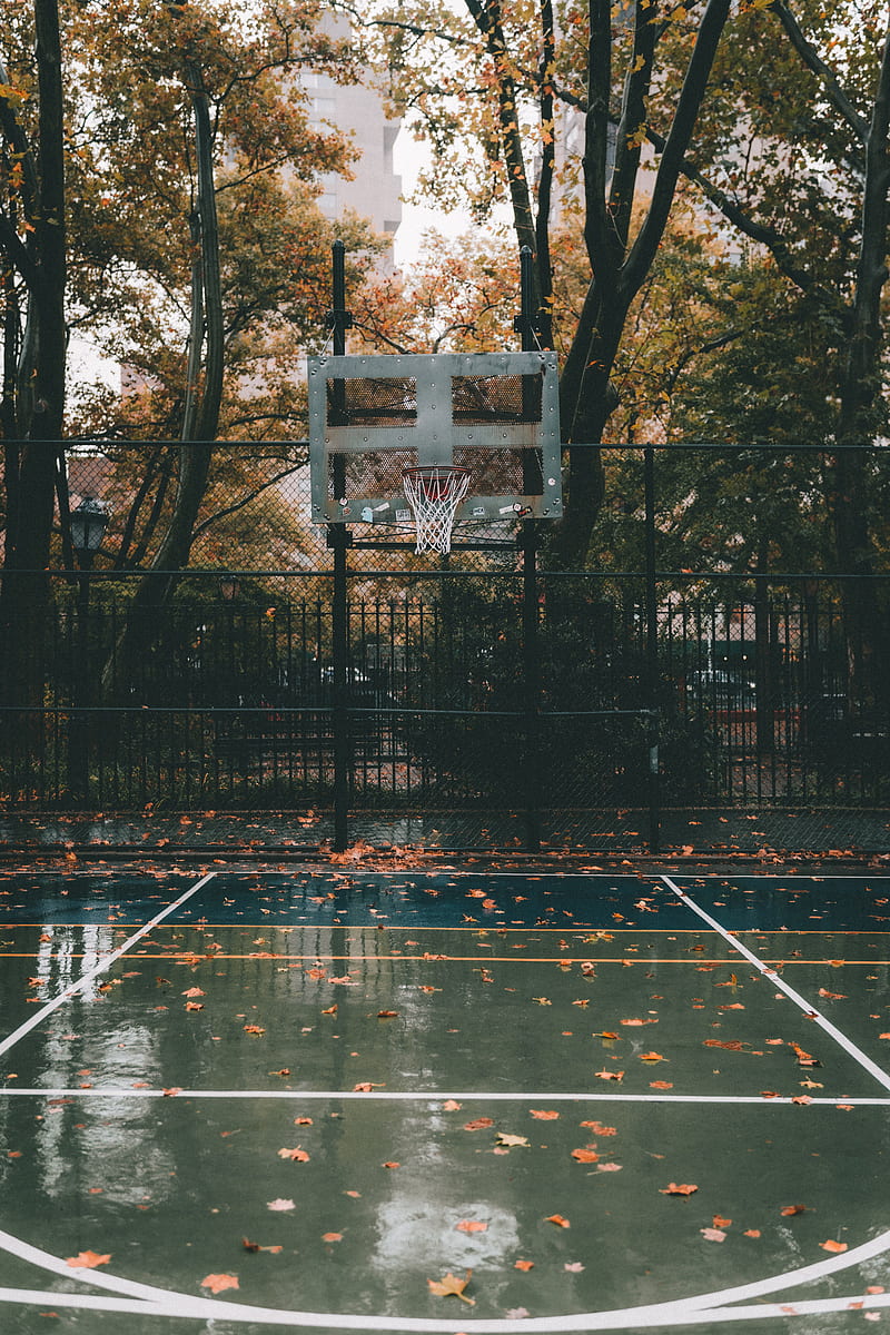 basketball court, basketball, court, hoop, autumn, HD phone wallpaper