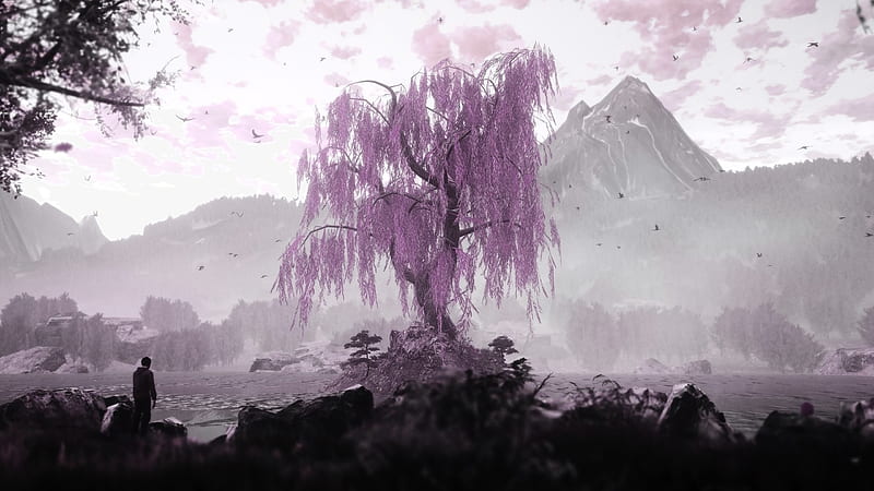 The dead tree of ranchiuna, wren, tree, fantasy, luminos, blsck, man, pink, silhouette, HD wallpaper