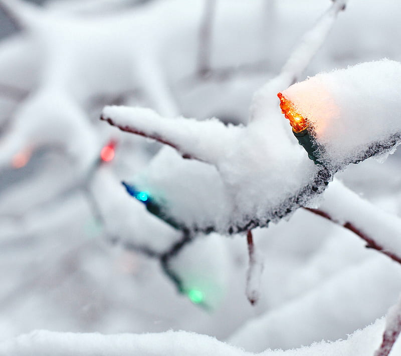 christmas colors, branch, bright, christmas, colors, festive, glow, lights, snow, HD wallpaper