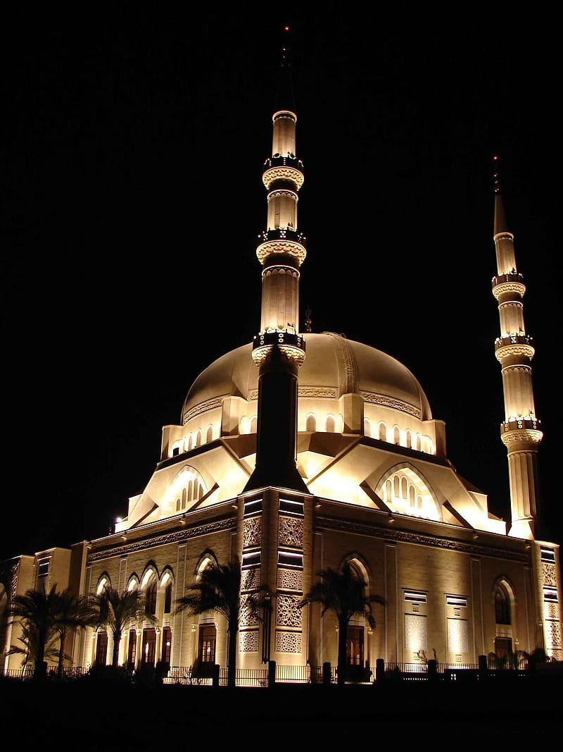 Mosque, istanbul, turkish, HD mobile wallpaper | Peakpx