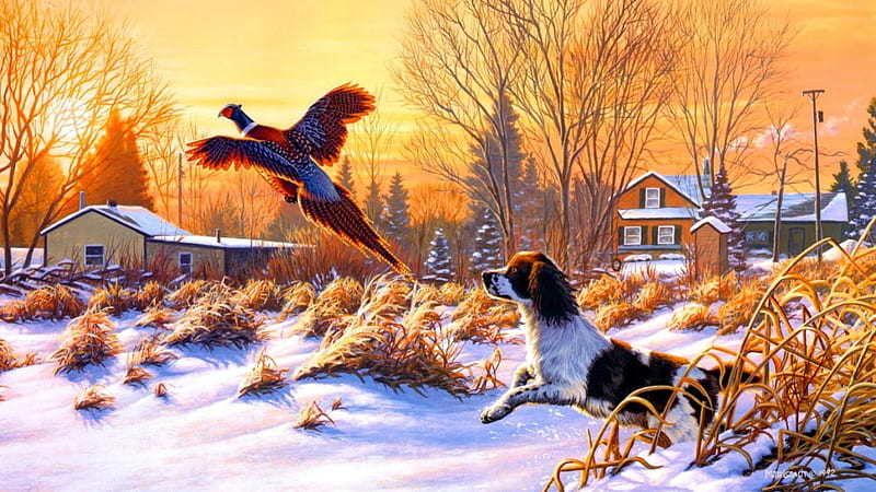 Winter joy, house, cottage, bonito, sunset, snowy, run, cold, nice, painting, frost, dog, puppy, playing, art, lovely, fun, sky, joy, trees, winter, bird, snow, nature, field, HD wallpaper
